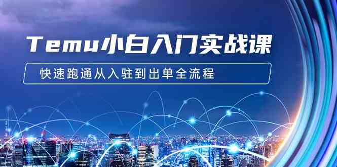 Temu小白入门实战课：跨境拼多多电商培训 快速跑通从入驻到出单全流程-12节插图