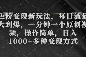 色粉变现新玩法，每日流量大到爆，一分钟一个原创视频，操作简单，日入1…