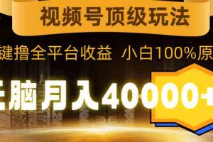 视频号顶级玩法，无脑月入40000+，一键撸全平台收益，纯小白也能100%原创