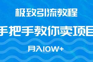 极致引流教程，手把手教你卖项目，月入10W+