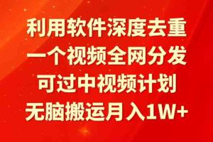 利用软件深度去重，一个视频全网分发，可过中视频计划，无脑搬运月入1W+