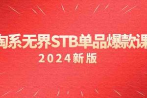 淘系 无界STB单品爆款课（2024）付费带动免费的核心逻辑，万相台无界关…