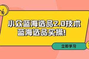 拼多多培训第33期：小众蓝海选品2.0技术-蓝海选品实操！