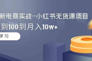 2024全新电商实战-小红书无货源项目：从0到1到100到月入10w+