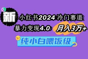 小红书2024冷门赛道 月入3万+ 暴力变现4.0 纯小白喂饭级