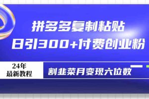 拼多多复制粘贴日引300+付费创业粉，割韭菜月变现六位数最新教程！