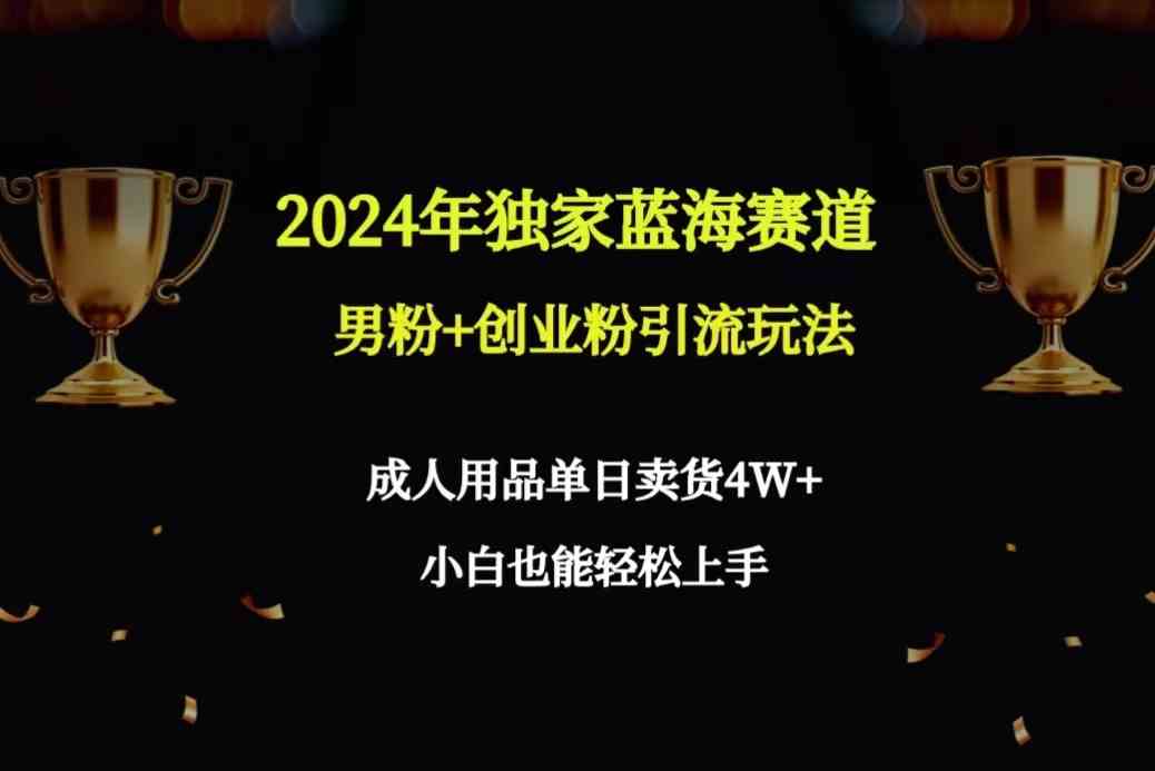 2024年独家蓝海赛道男粉+创业粉引流玩法，成人用品单日卖货4W+保姆教程插图