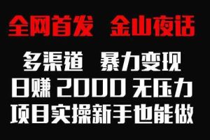 全网首发，金山夜话多渠道暴力变现，日赚2000无压力，项目实操新手也能做