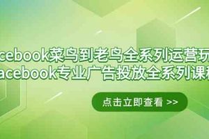 Facebook-菜鸟到老鸟全系列运营玩法+Facebook-专业广告投放全系列课程