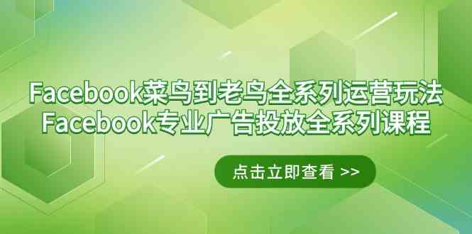 Facebook-菜鸟到老鸟全系列运营玩法+Facebook-专业广告投放全系列课程插图