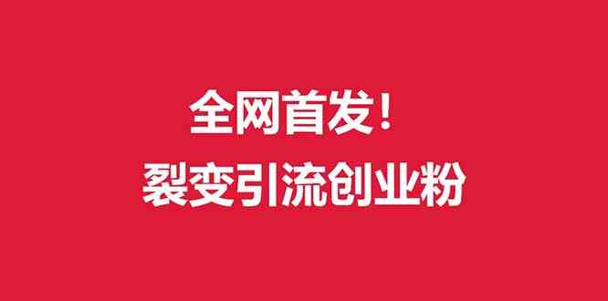 （全网首发）外面收费几千的裂变引流高质量创业粉插图