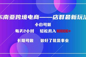 东南亚跨境电商店群新玩法2—小白每天两小时 轻松10000+