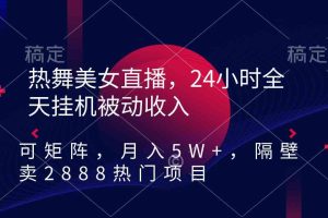 热舞美女直播，24小时全天挂机被动收入，可矩阵 月入5W+隔壁卖2888热门项目