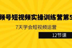 视频号短视频实操训练营第5期：7天学会短视频运营（12节课）