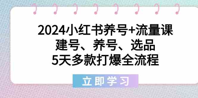 2024小红书养号+流量课：建号、养号、选品，5天多款打爆全流程插图