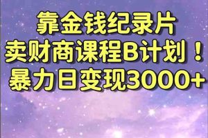 靠金钱纪录片卖财商课程B计划！暴力日变现3000+，喂饭式干货教程！