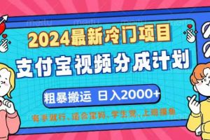 2024最新冷门项目！支付宝视频分成计划，直接粗暴搬运，日入2000+，有…