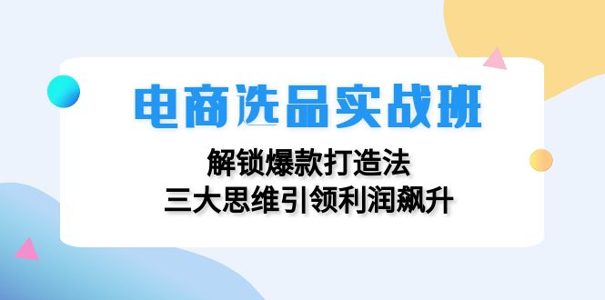 电商选品实战班：解锁爆款打造法，三大思维引领利润飙升插图