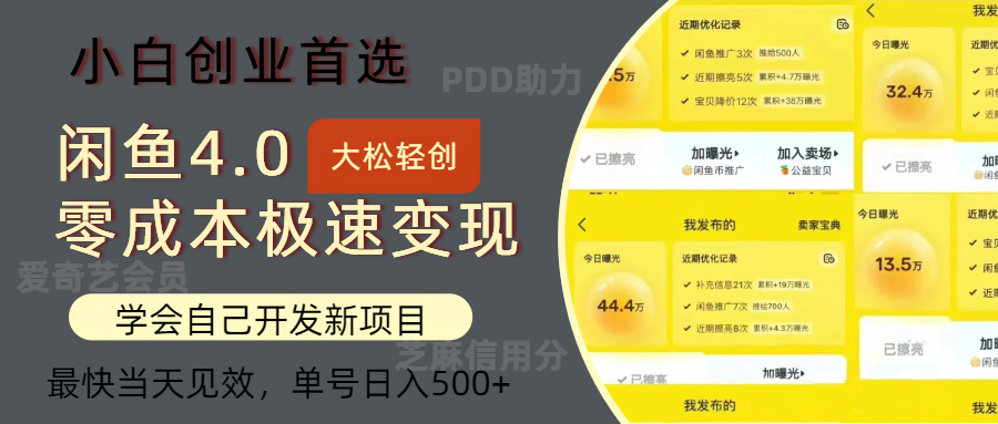 闲鱼0成本极速变现项目，多种变现方式 单号日入500+最新玩法插图