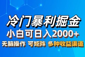 最新冷门蓝海项目，无脑搬运，小白可轻松上手，多种变现方式，一天十几…