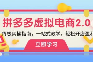 拼多多 虚拟项目-2.0：终极实操指南，一站式教学，轻松开店盈利