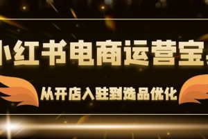 小红书电商运营宝典：从开店入驻到选品优化，一站式解决你的电商难题