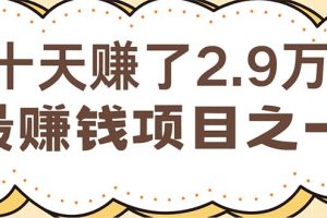 闲鱼小红书赚钱项目之一，轻松月入6万+项目