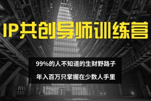 IP共创导师训练营 99%的人不知道的生财野路子 只掌握在少数人手里