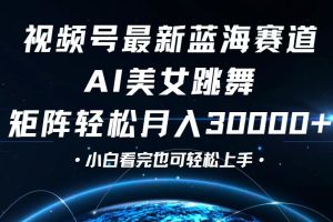 视频号最新蓝海赛道，小白也能轻松月入30000+