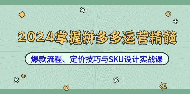 2024掌握拼多多运营精髓：爆款流程、定价技巧与SKU设计实战课插图