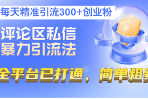 评论区私信暴力引流法，每天精准引流300+创业粉，全平台已打通，简单粗暴