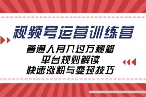 视频号运营训练营：普通人月入过万秘籍，平台规则解读，快速涨粉与变现…