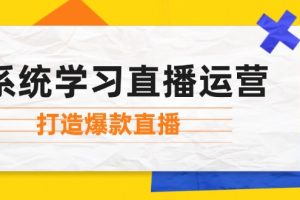 系统学习直播运营：掌握起号方法、主播能力、小店随心推，打造爆款直播