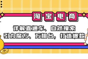 2024淘宝电商课程：详解直通车、自然搜索、引力魔方、万相台，打造爆款