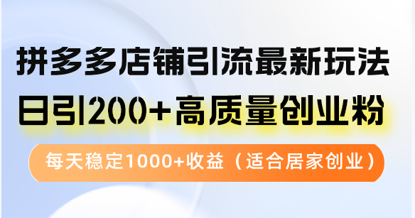 拼多多店铺引流最新玩法，日引200+高质量创业粉，每天稳定1000+收益（…插图