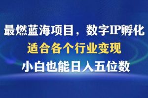 最燃蓝海项目  数字IP孵化  适合各个行业变现  小白也能日入5位数