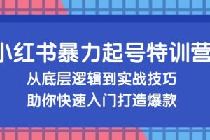 小红书暴力起号训练营，从底层逻辑到实战技巧，助你快速入门打造爆款