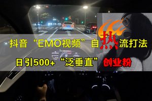 抖音EMO视频自热打法，日引500+“泛垂直”创业粉