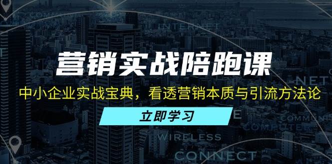 营销实战陪跑课：中小企业实战宝典，看透营销本质与引流方法论插图