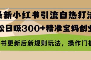 最新小红书引流自热打法，轻松日吸300+精准宝妈创业粉，小红书更新后新…