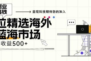 海外全新空白市场，小白也可轻松上手，年底最后红利