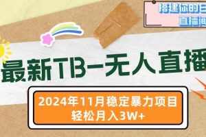 最新TB-无人直播 11月最新，打造你的日不落直播间，轻松月入3W+