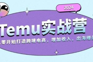 2024Temu实战营：从零开始打造跨境电商，增加收入，出海赚美金