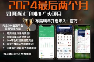 2024最后两个月如何通过”创业IP“卖项目年入”百万“,创业IP+最强引流…