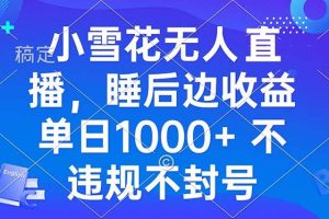 小雪花无人直播 睡后收益单日1000+ 零粉丝新号开播 不违规 看完就会