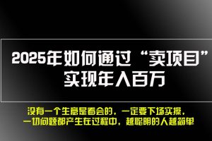 2025年如何通过“卖项目”实现年入百万，做网赚必看！！