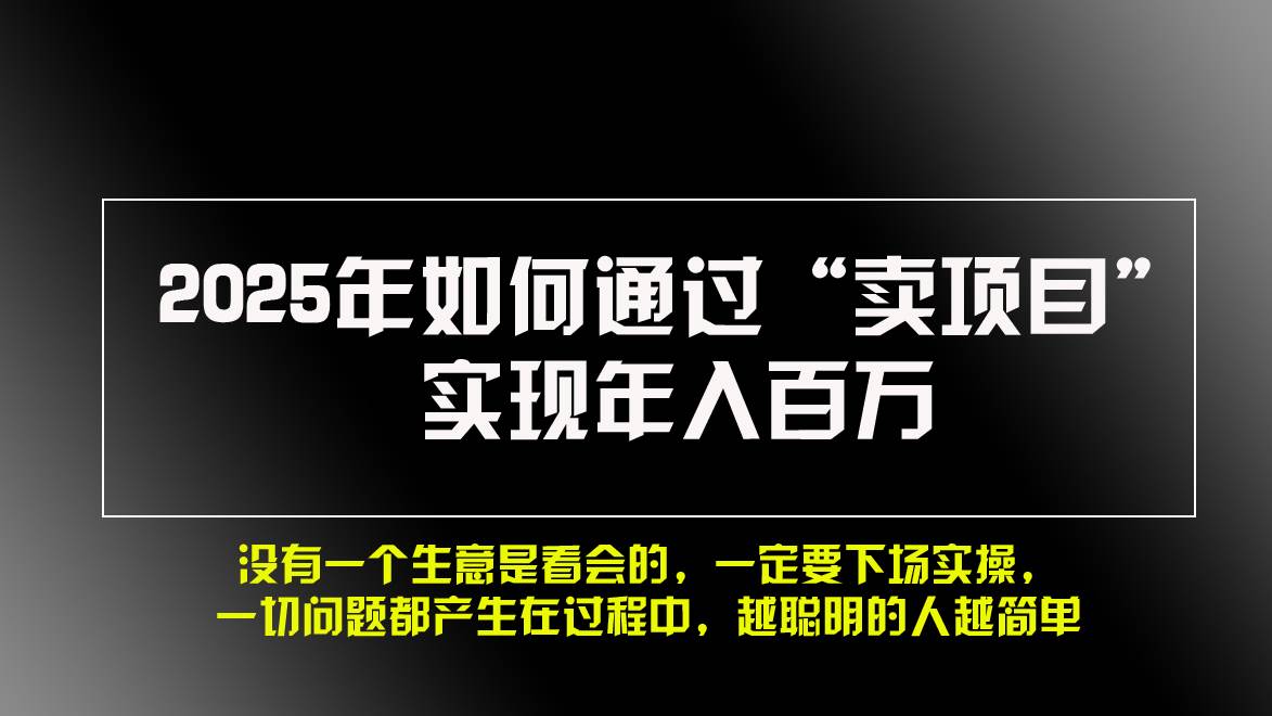 2025年如何通过“卖项目”实现年入百万，做网赚必看！！插图