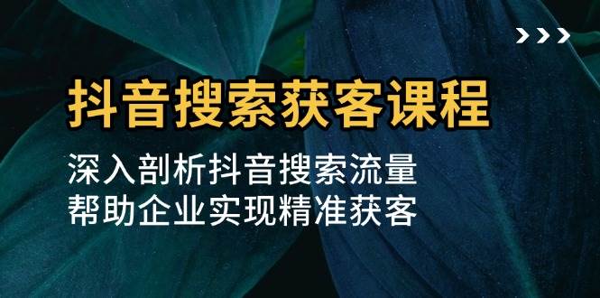 抖音搜索获客课程：深入剖析抖音搜索流量，帮助企业实现精准获客插图