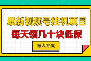 视频号挂机项目，每天几十块低保，懒人专属