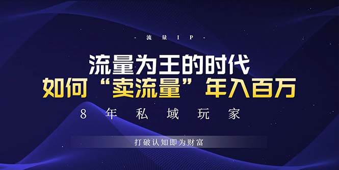 未来如何通过“卖流量”年入百万，跨越一切周期绝对蓝海项目插图